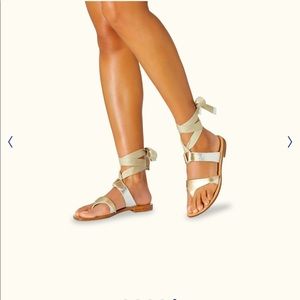 COPY - COPY - Sara Flint Grear Sandel